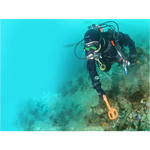 Podwodny wykrywacz metali Quest Metal Detectors Scuba Tector — pomarańczowy (wersja 2019)