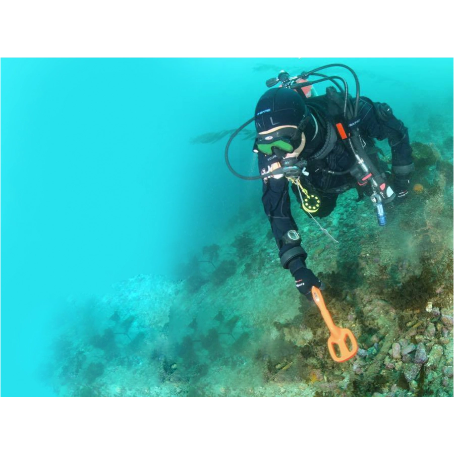 Podwodny wykrywacz metali Quest Metal Detectors Scuba Tector — pomarańczowy (wersja 2019)